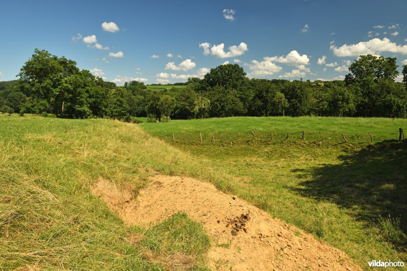 Dassenburcht in de Voerstreek