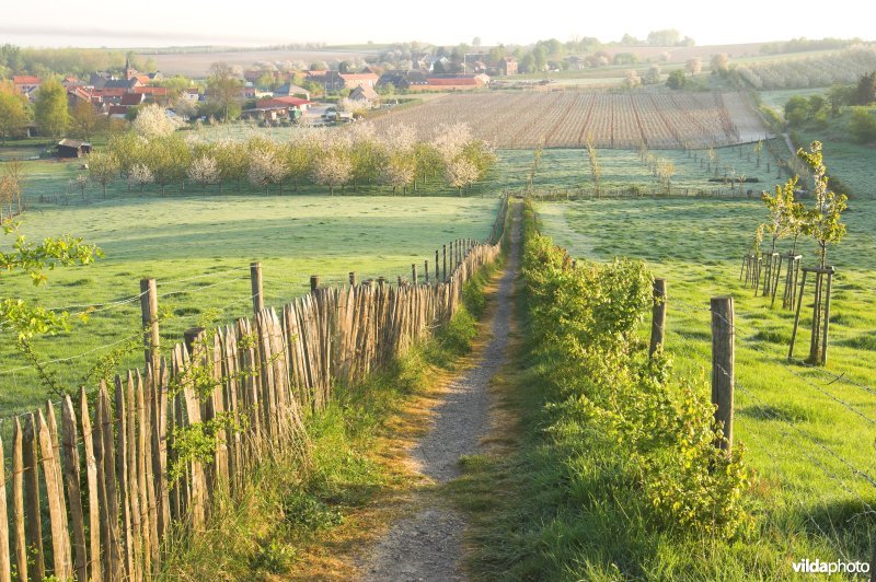 Wandelpaadje doorheen het reservaat Knoppel