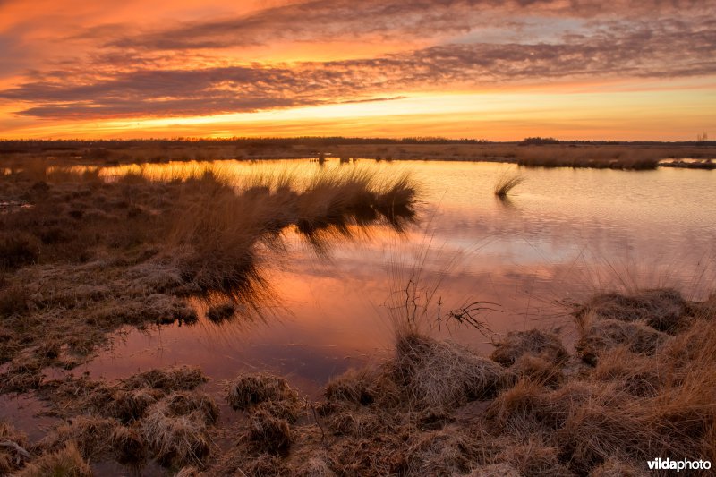 Petgat in Engbertsdijksvenen