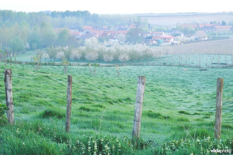 Reservaat Knoppel in Mettekoven