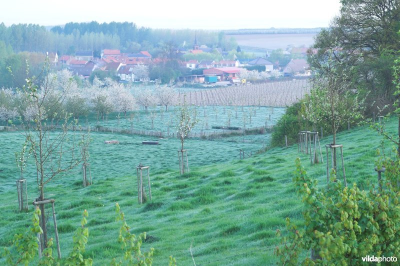 Reservaat Knoppel in Mettekoven