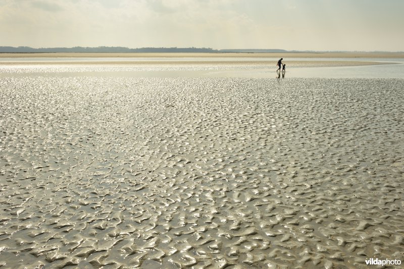 Baai van de Somme