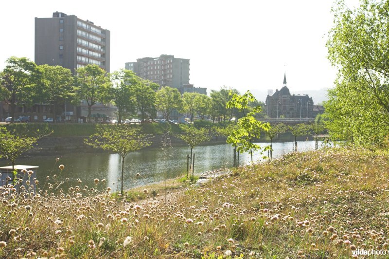 Terril van l'Ile aux Corsaires