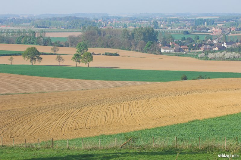 Zicht vanop de Haringsberg, richting Broekom