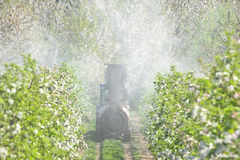 Besproeien van laagstamboomgaard met pesticiden