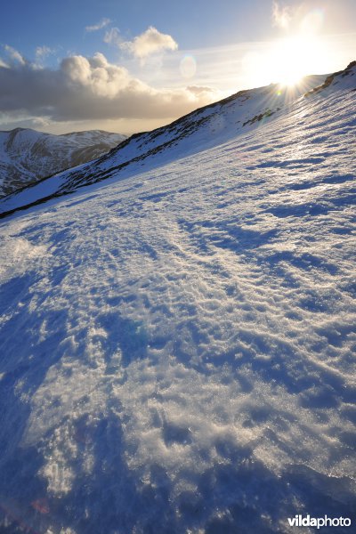 Cairngorms 