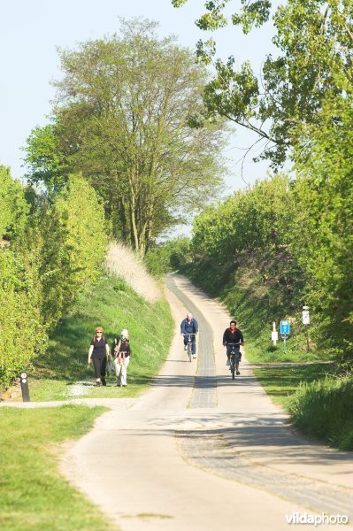 Romeinse kassei heerbaan