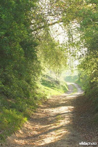 Holle weg in Grootloon