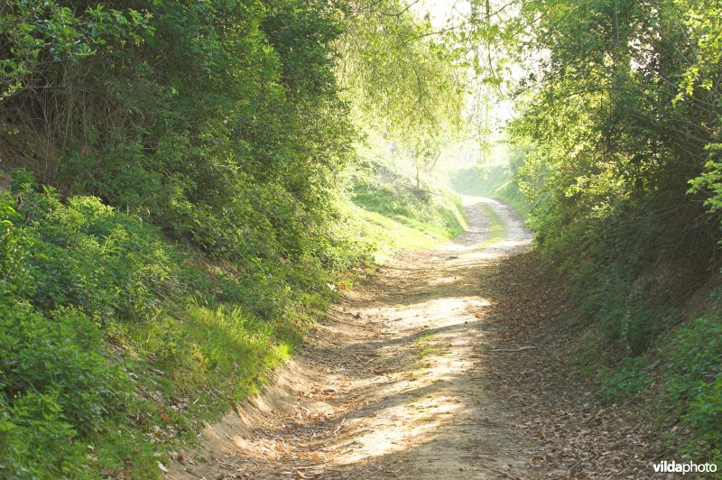 Holle weg in Grootloon