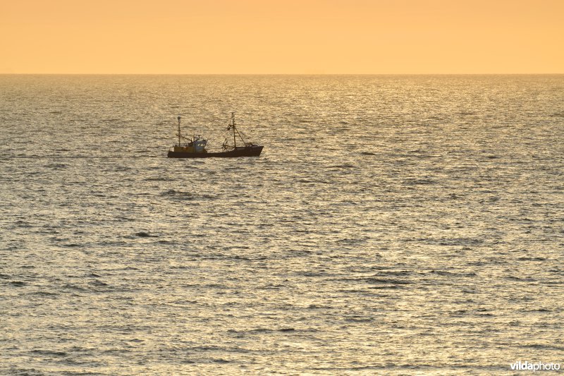 Vissersboot op de Noordzee