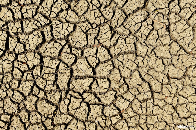 Opgedroogde grond
