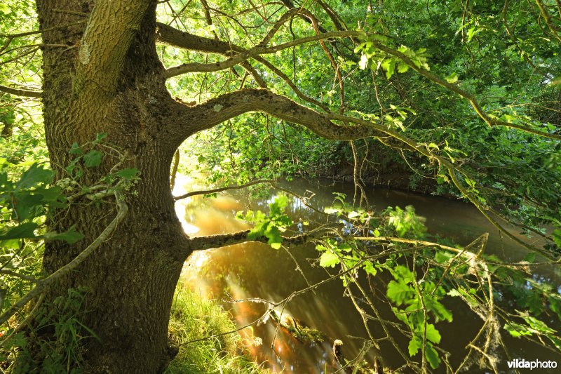 Vallei van de Grote Nete in Geel