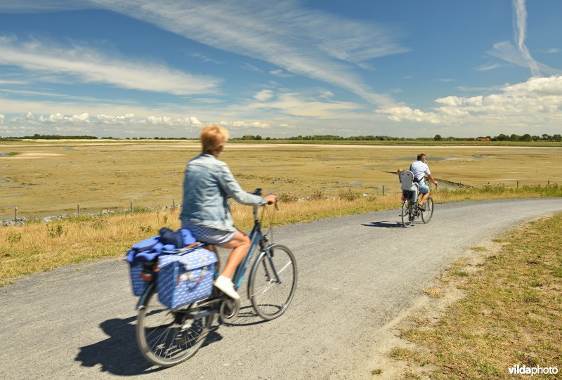 Fietsen aan het Zwin