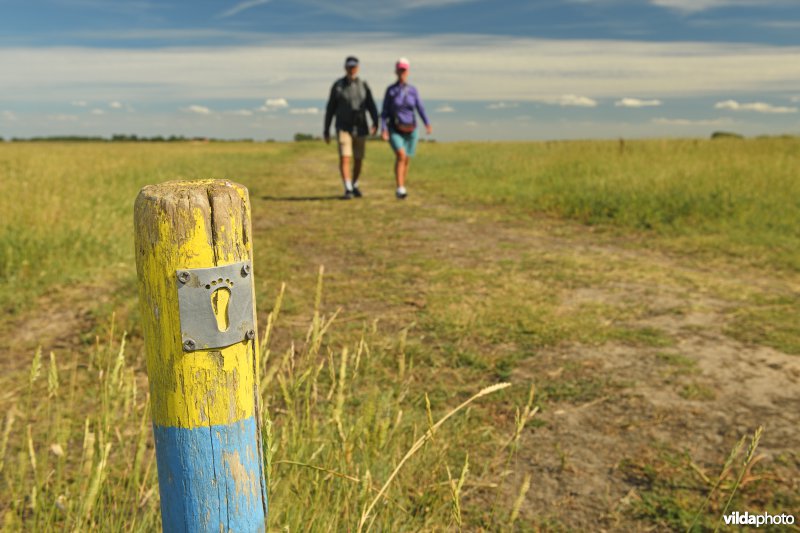 Wandelen in het Zwin