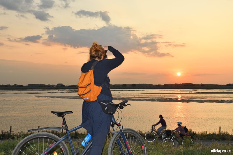 Fietsen aan het Zwin bij zonsondergang