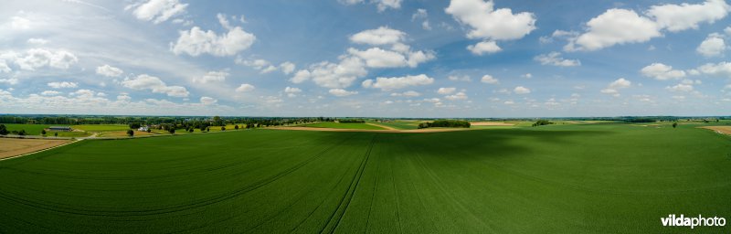 Akkerlandschap in Haspengouw, België