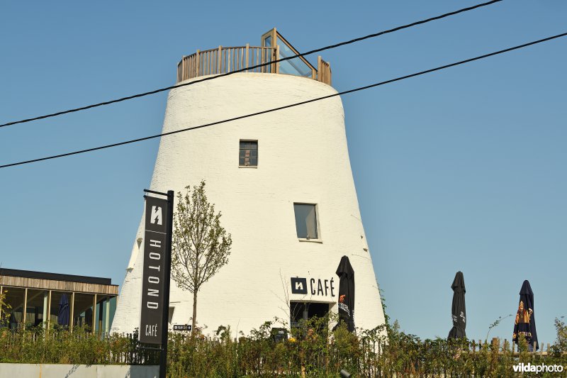 Hotondmolen