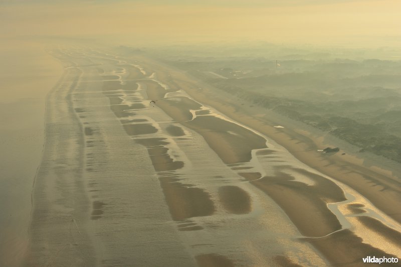 Noordzeestrand bij laag spring tij