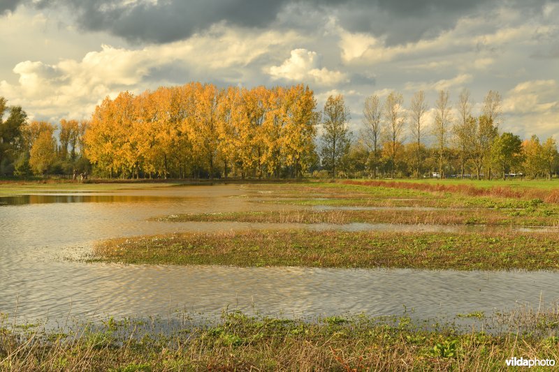 Afgegraven Merelbeekse Scheldemeersen