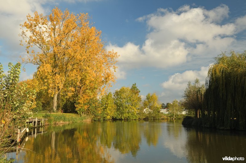 Leievallei in de Assels