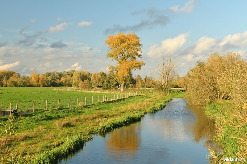 Melsenbeek in de Merelbeekse Scheldemeersen