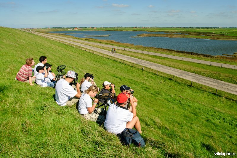 Vogels kijken vanaf een dijk bij De Petten
