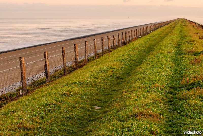 De Hondsbossche Zeewering, een kunstmatige vervanging van de duinenrij, beschermt het achtergelegen land tegen de zee.