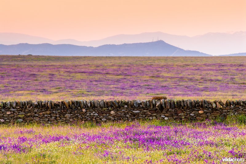 Extremadura, Spanje