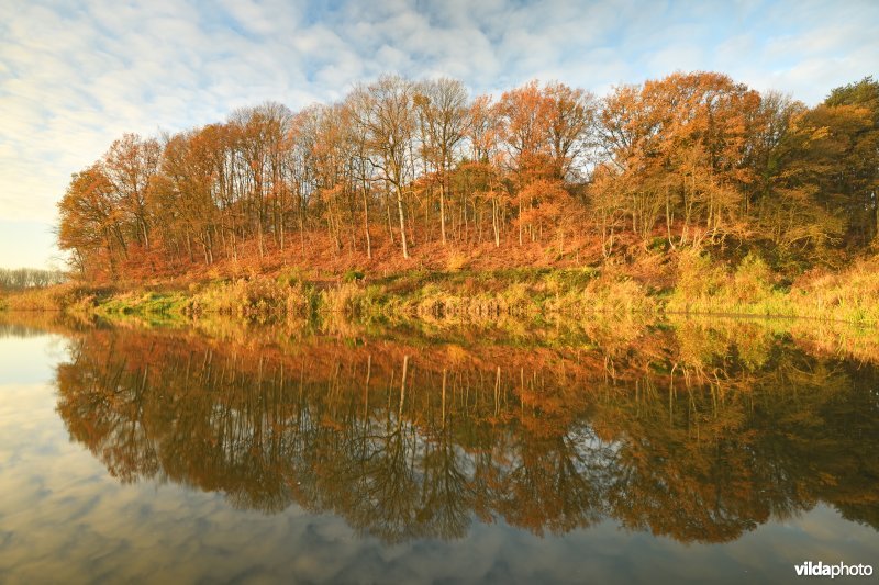 Voortberg aan de Demerbroeken in de herfst