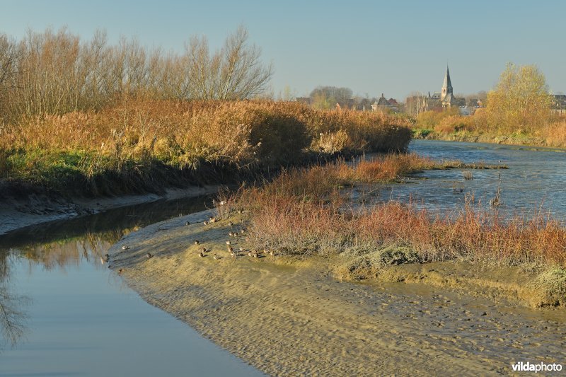 Wintertalingen in de Bergenmeersen