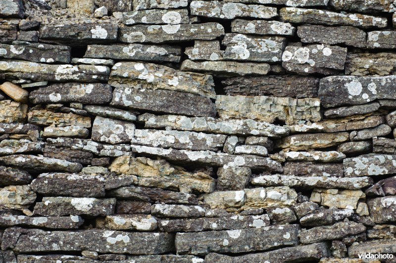 Gestapelde stenen muur begroeid met korstmossen op Öland
