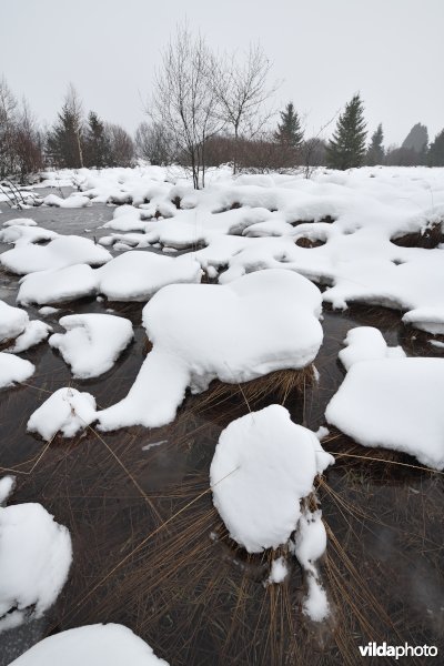 Hoge Venen in Waimes: vallei van de Rour