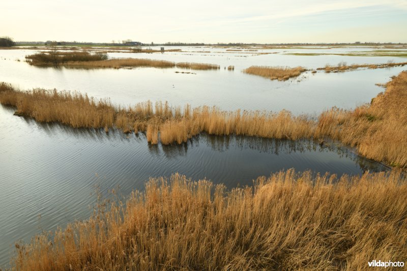 Overstroomde Rillebroeken