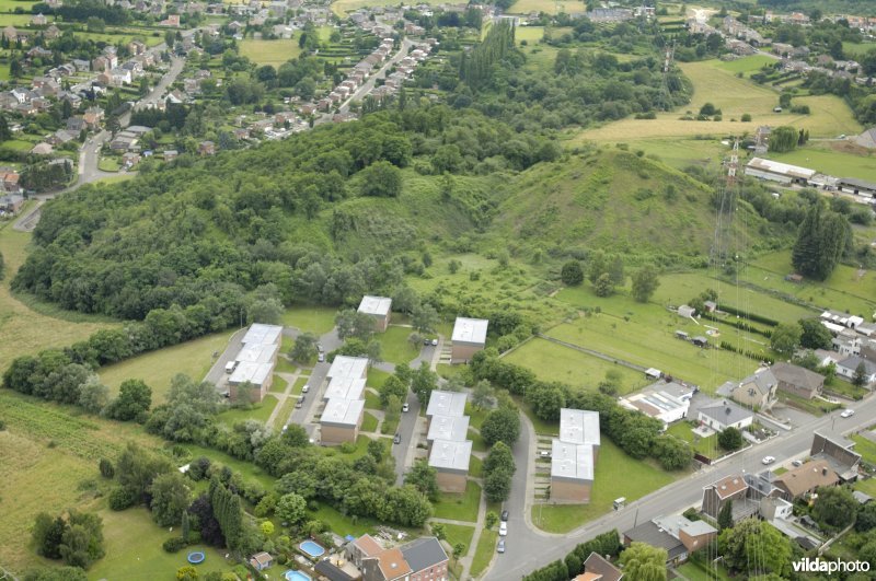 Terril Champ d'oiseaux