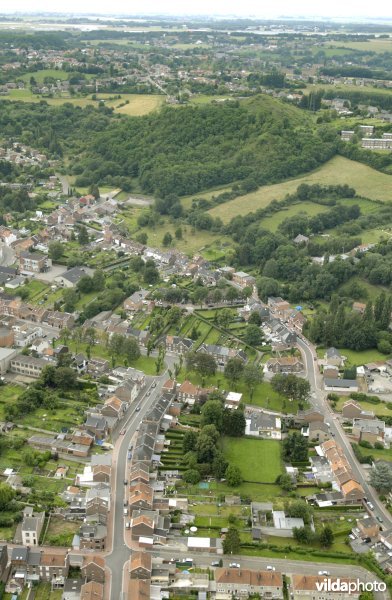 Terril Champ d'oiseaux