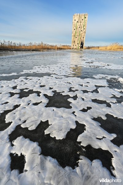 Toren in de winterse Blankaart