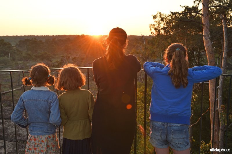 Zonsopgang kijken op midzomer