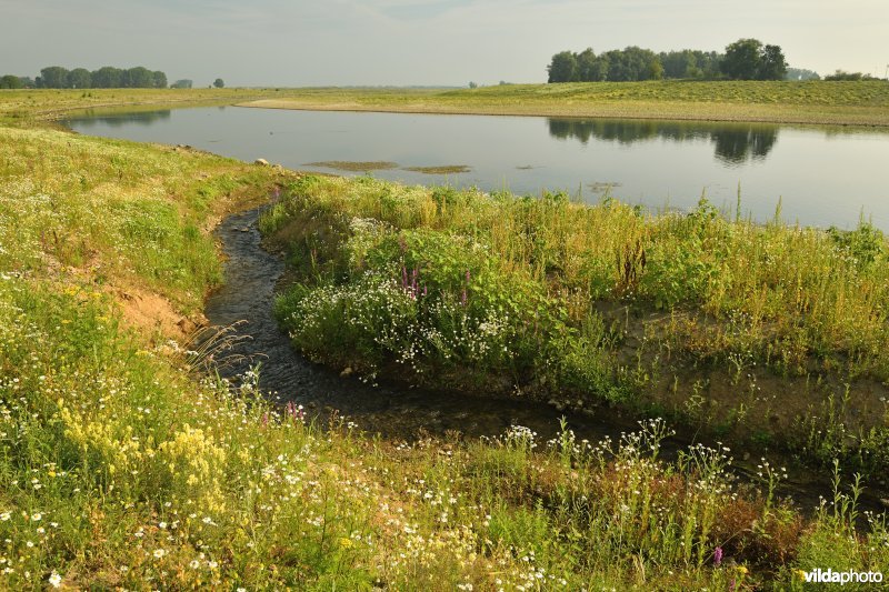 Maasvallei in Dilsen-Stokkem