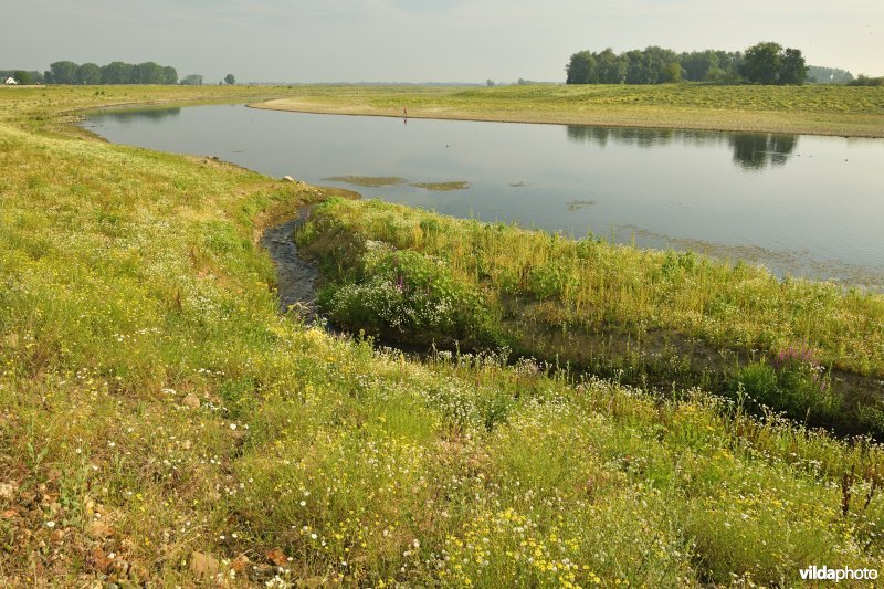 Maasvallei in Dilsen-Stokkem