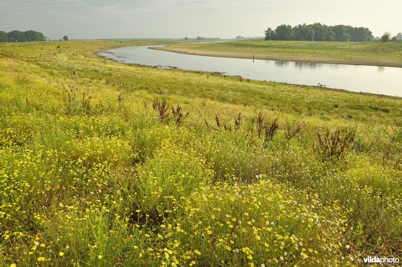 Maasvallei in Dilsen-Stokkem