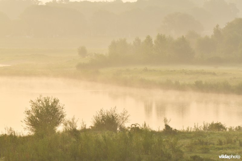 Natuurgebied Negenoord-Kerkeweerd