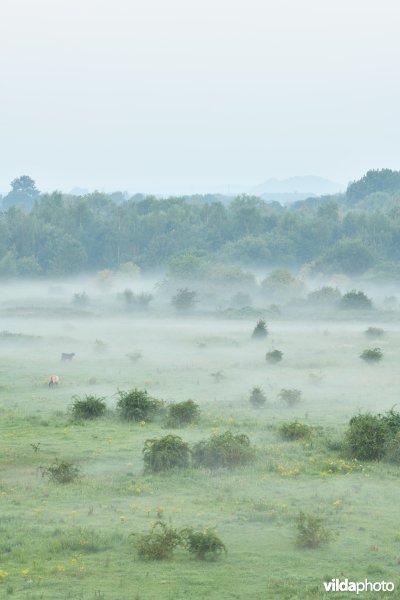 Natuurgebied Negenoord-Kerkeweerd