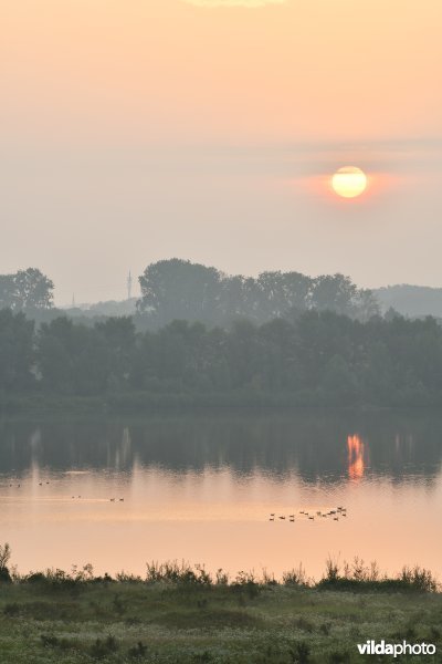 Natuurgebied Negenoord-Kerkeweerd