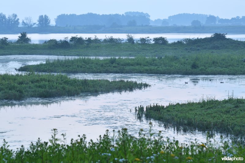 Natuurgebied Negenoord-Kerkeweerd