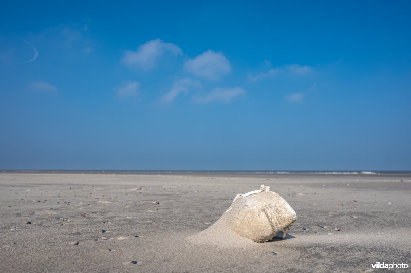 Mondmasker op het strand