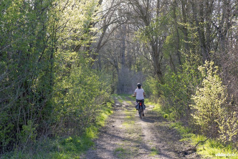 Fietsen in de Rietbeemd