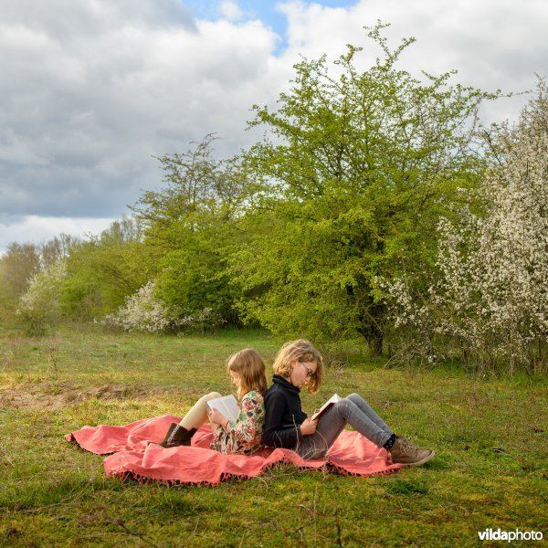 Kinderen lezen boek in de natuur