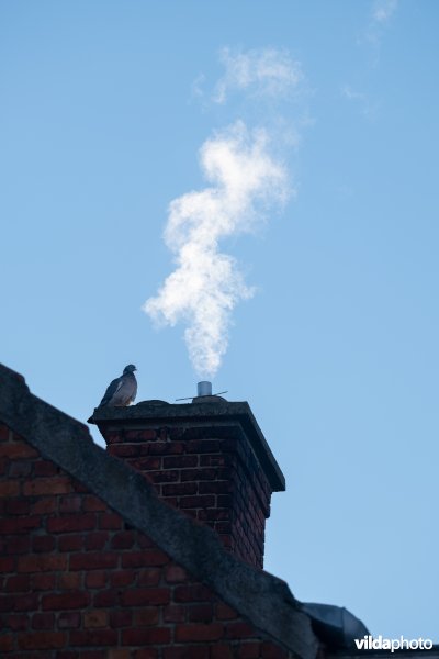 Rokende schoorsteen