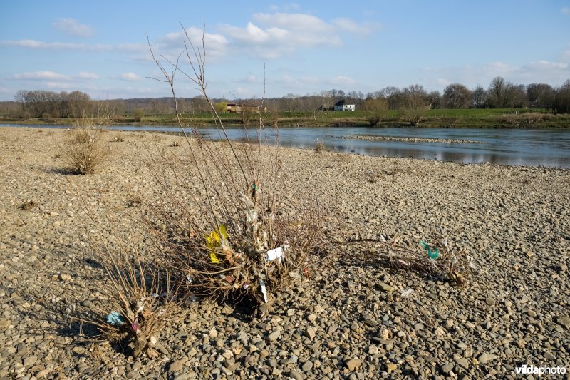 Afval na het wegtrekken van hoogwater