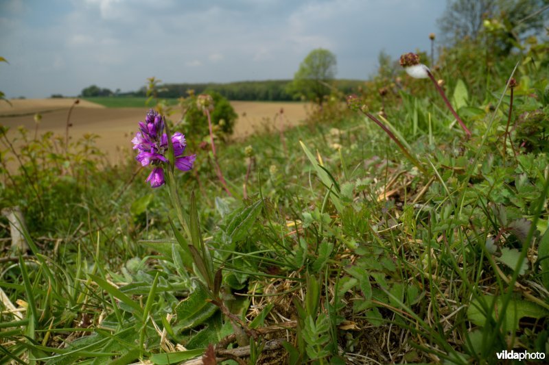 Kunderberg, Zuid-Limburg